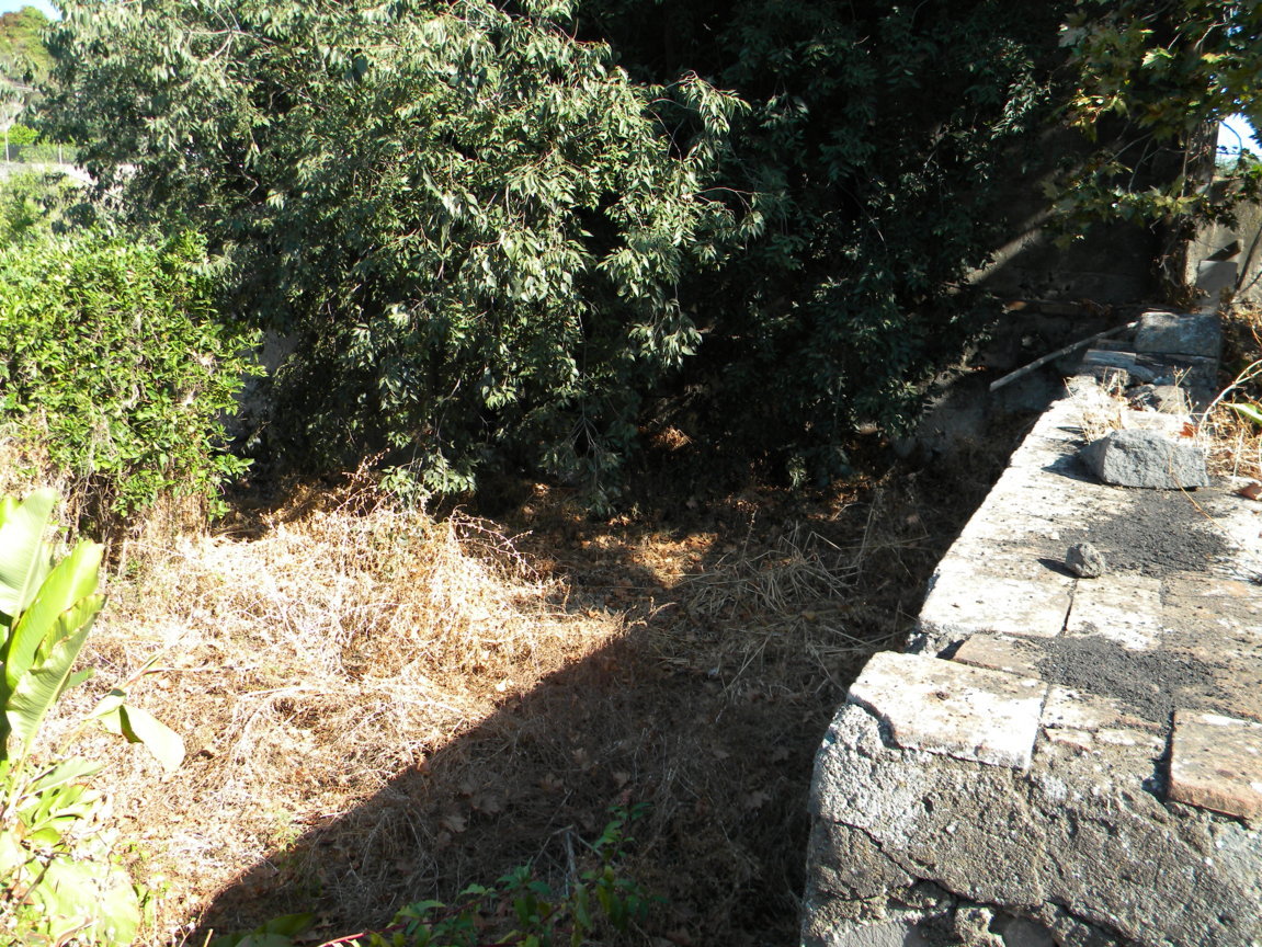 DSCN8178 .JPG